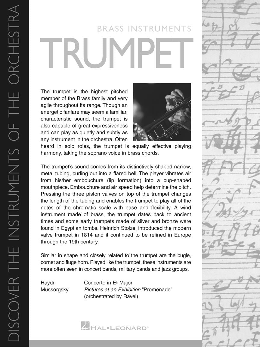 Discover the Instruments of the Orchestra (24 Posters) - sample page 4