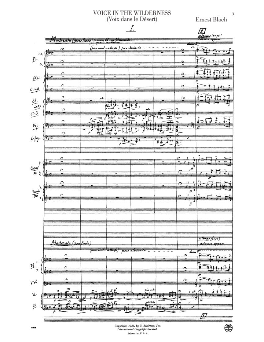 Voice in the Wilderness (Symphonic Poem) - sample page 4