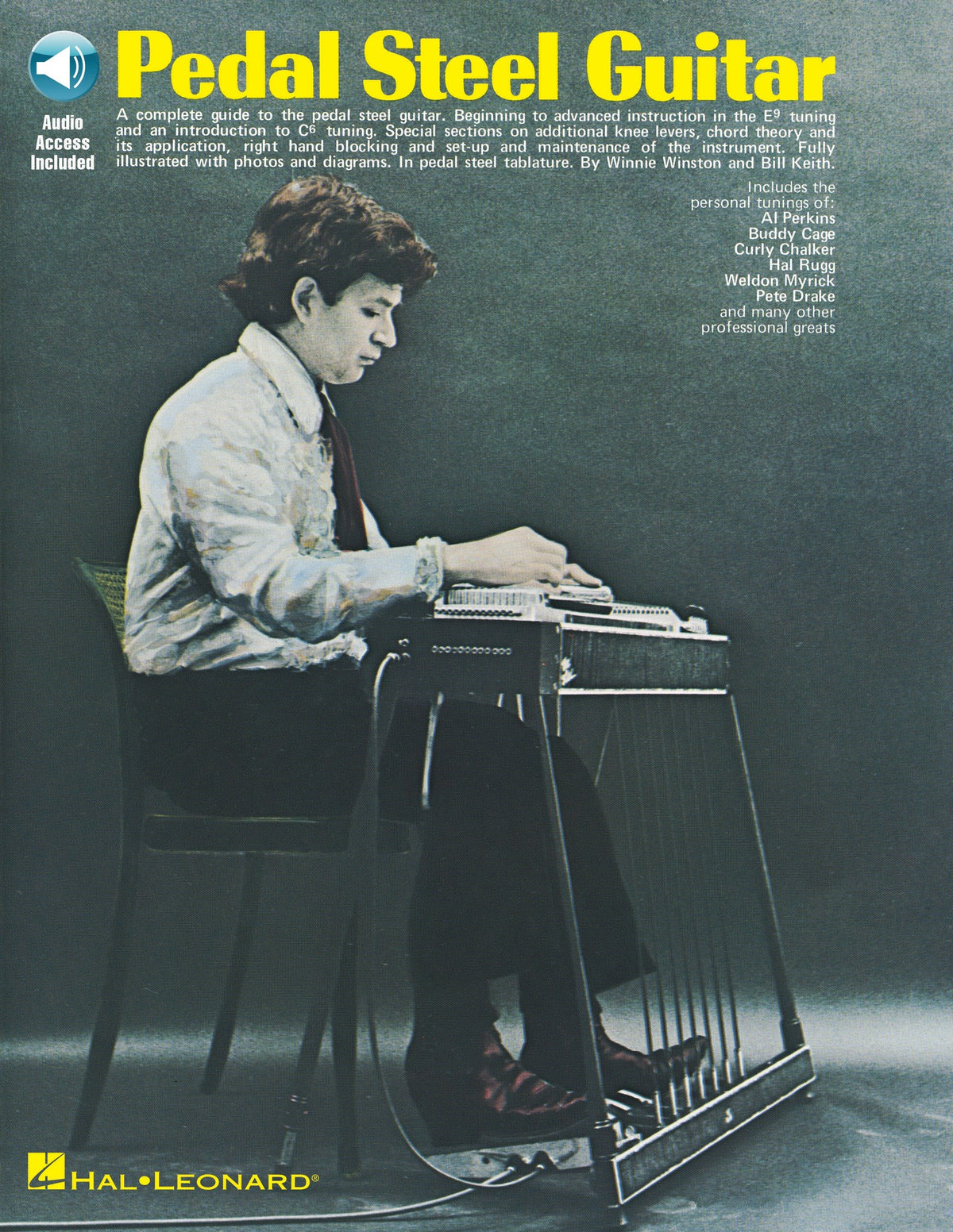 Product Cover for Pedal Steel Guitar