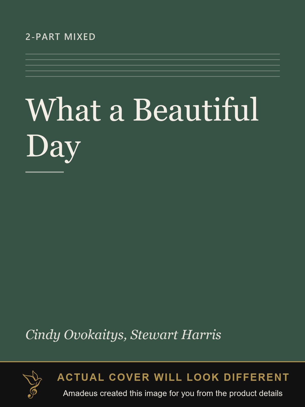 What a Beautiful Day - Amadeus created this image from the product details; the actual cover will look different