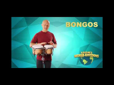 Kalani's World Rhythms - Kalani's World Rhythms Product Overview