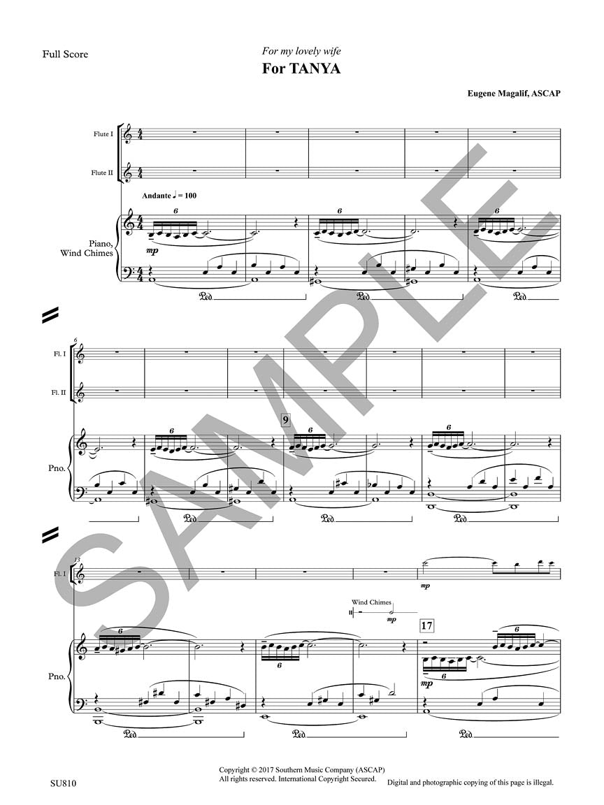 For Tanya - sample page 2