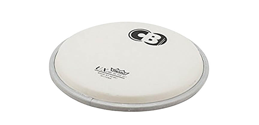 8-Inch Replacement P/Pad Head - sample page 1