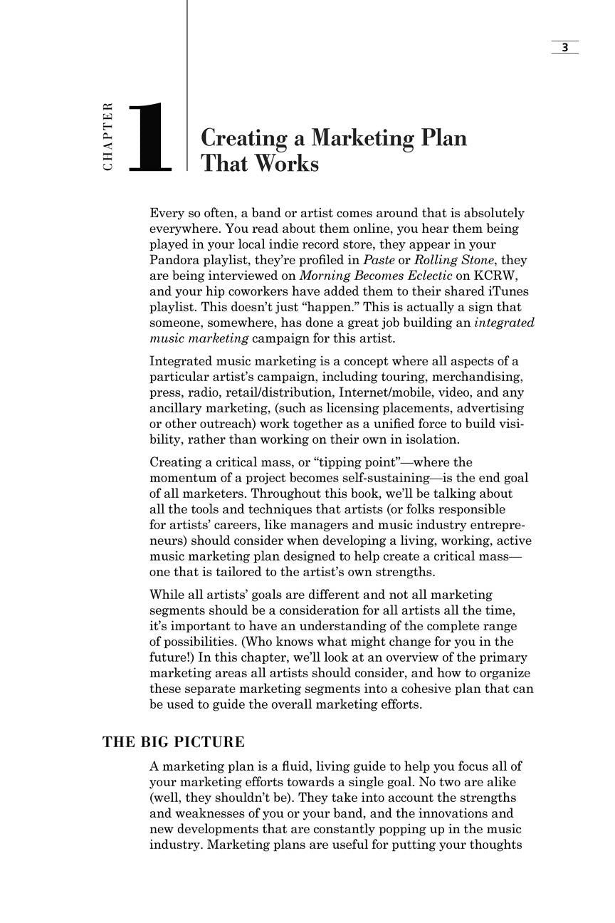 Music Marketing - sample page 4