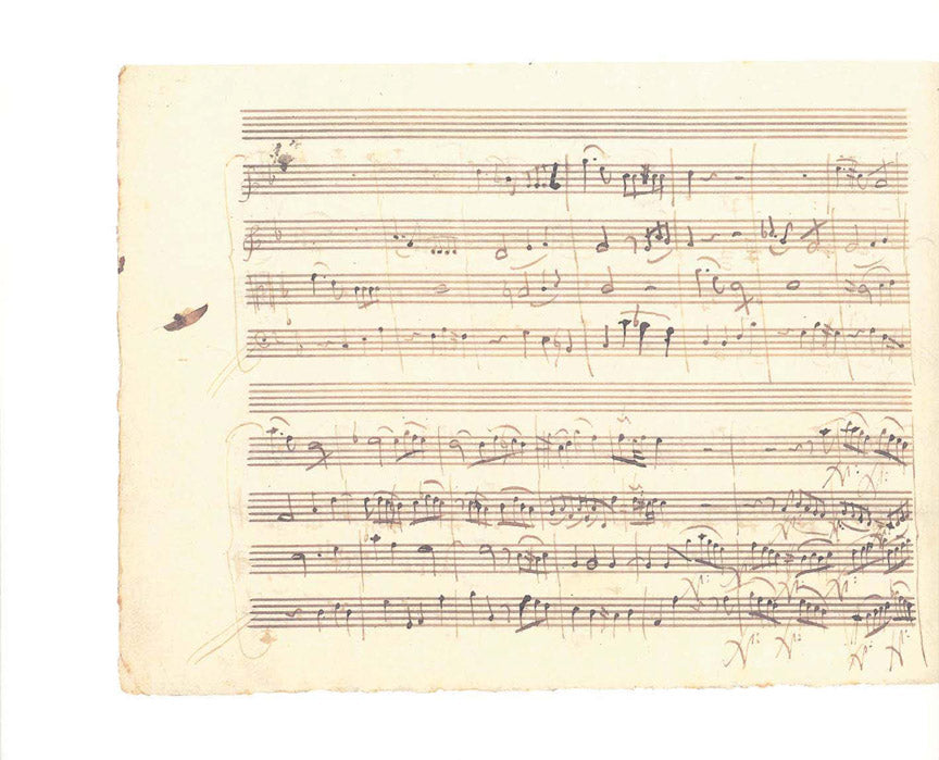 String Quartet in F Major K168 - sample page 4