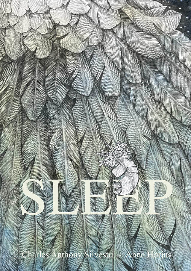 Product Cover for Sleep