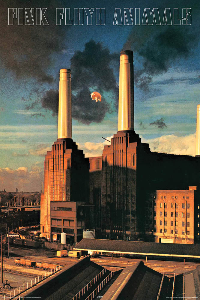 Product Cover for Pink Floyd – Animals – Wall Poster