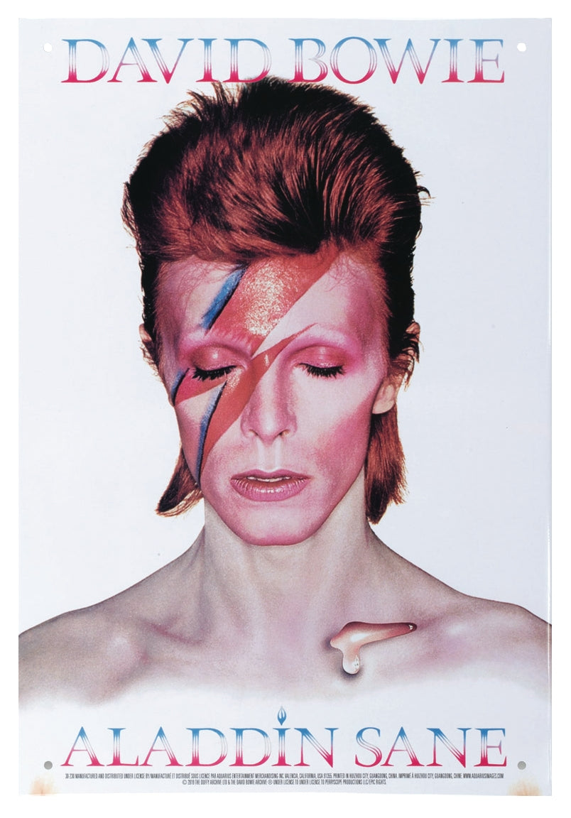 Product Cover for Bowie Aladdin Sane Tin Sign