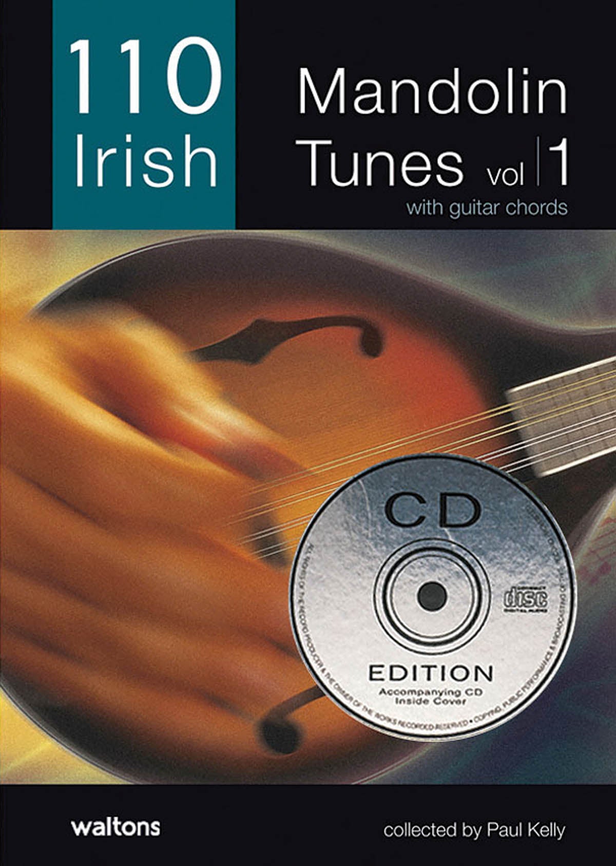 Product Cover for 110 Irish Mandolin Tunes