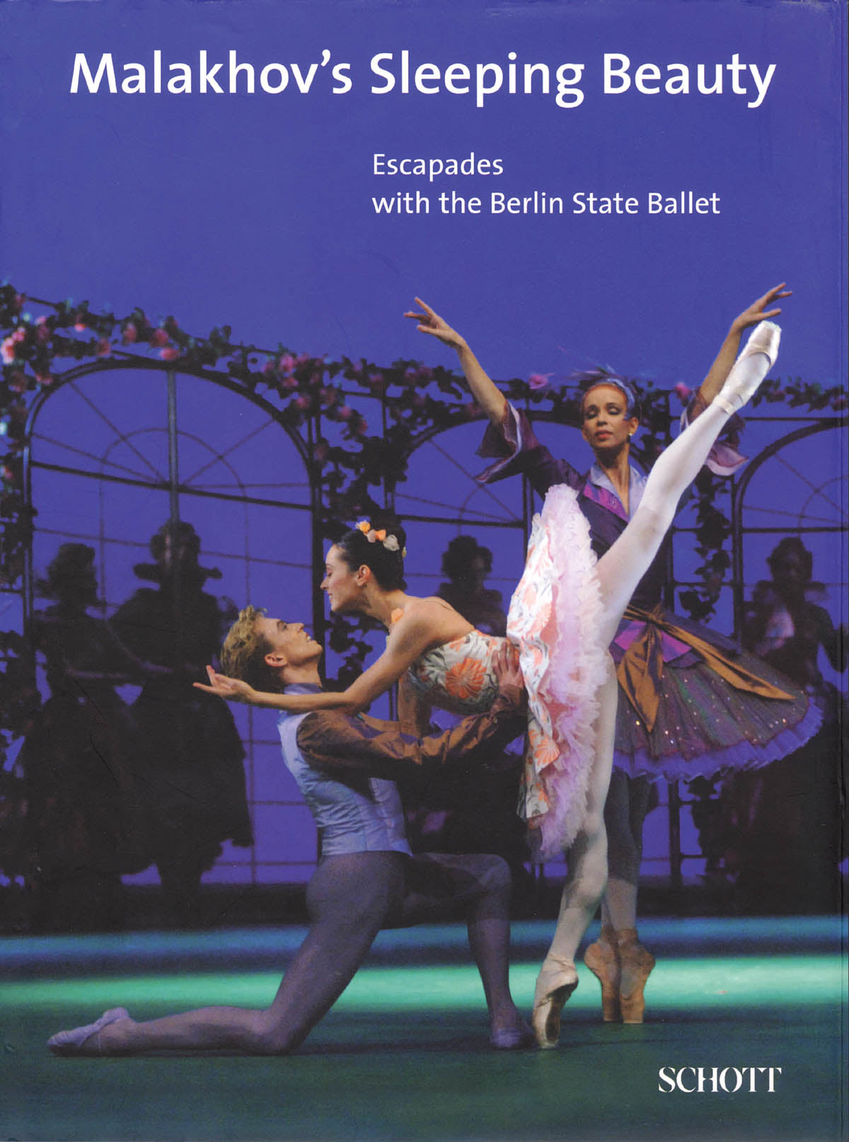 Product Cover for Malakhov's Sleeping Beauty