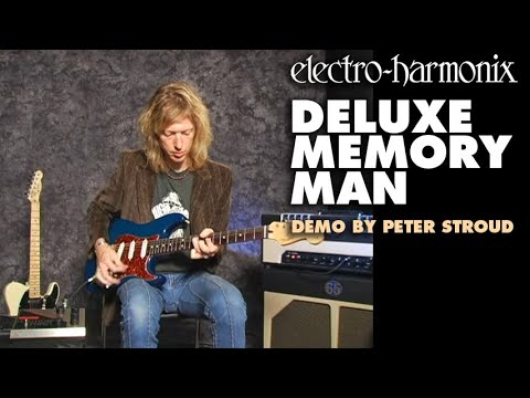Deluxe Memory Man Analog Delay - Demo video