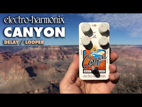 Canyon Delay and Looper - Demo video
